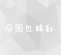 探索最佳策略：网站优化与精准推广的对比效益分析